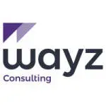 Wayz Consulting company icon