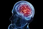 Brain Power Technical Services company icon