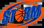 Royal Storm Studio company icon