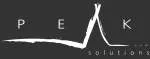 Peak Solutions IT Training Institute company icon